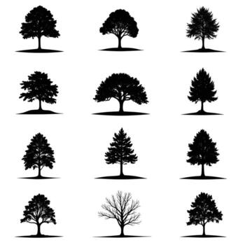 Collection of Silhouetted Trees with Different Foliage and Branch Structures vector