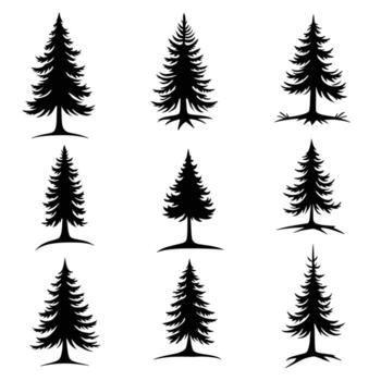Collection of Silhouette Evergreen Trees with Detailed Branches and Root Systems vector