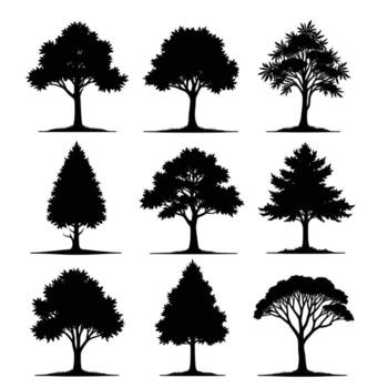 Collection of nine different tree silhouettes in black and white showing various shapes and foliage vector
