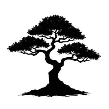 Silhouette of a stylized bonsai tree with a twisted trunk and full foliage vector