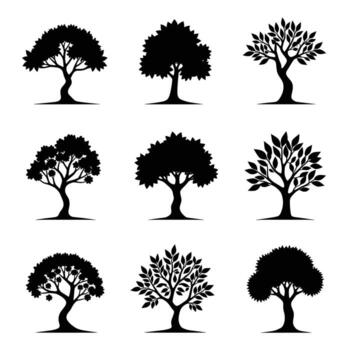 colección de silueta arboles con variado hoja patrones y Fruta vector