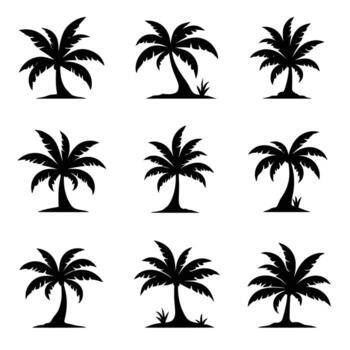 Collection of Silhouette Palm Tree Illustrations with Varying Trunk Shapes and Leaf Spreads vector