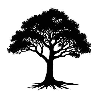 Detailed silhouette of a mature tree with spreading branches and visible roots against a white background vector