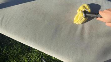 stänga upp av en texturerad yta, tips av naturlig mönster och dämpad färger framkalla jord toner, solljus kastar mild skuggor tillsats djup till de scen video