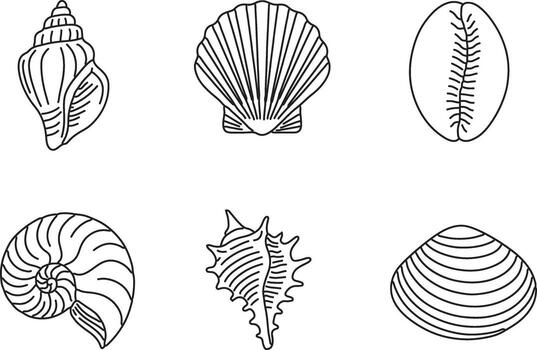 Assorted seashell icons in rows top view vector