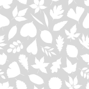Seamless pattern with white silhouettes of various leaves. Leaf of maple, linden, birch, oak, hawthorn, and ginkgo on gray. Template for textile, package, wrapping paper, illustration, minimal vector