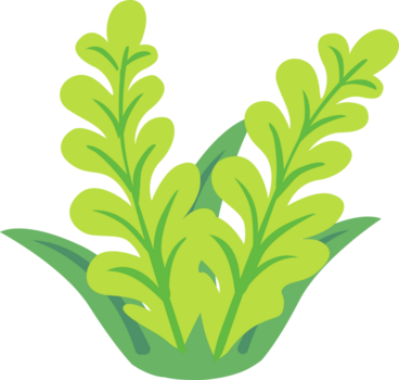 2d hidrila aquático plantar com pequeno verde folhas. adequado para lagoa decoração, natureza cenas, e tropical água Projeto png