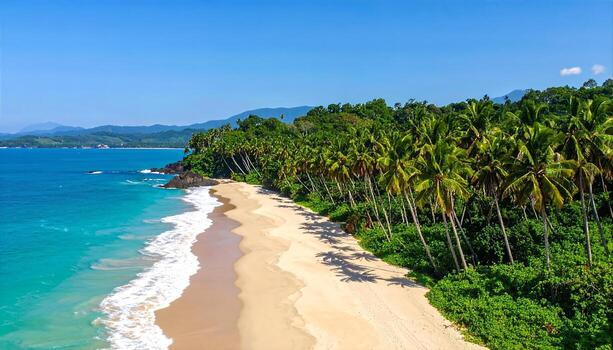 Idyllic Tropical Island Beach Paradise Pristine Sandy Shoreline with Swaying Palm Trees and Turquoise Ocean Waves photo