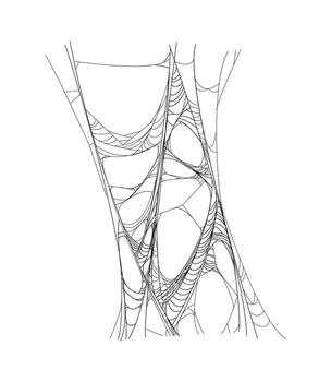 Cartoon Halloween creepy cobweb, old spiderweb net vector