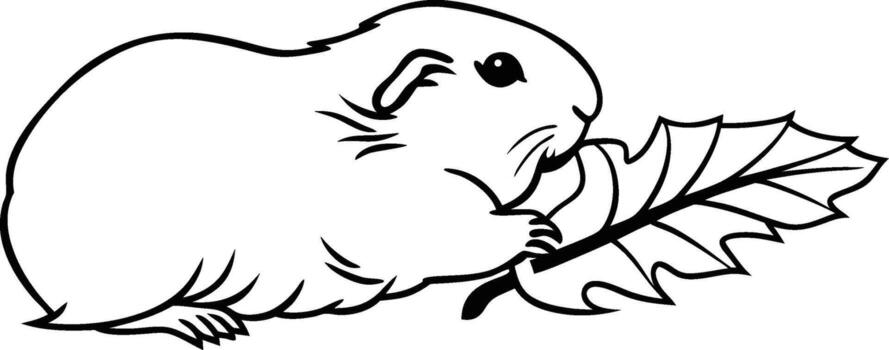 Cute guinea pig nibbling silhouette graphics collection vector