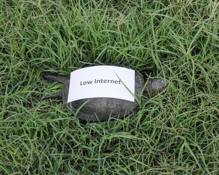Low internet. A bad internet symbol. Low download speed. Slow internet. Ordinajry river tortoise of temperate latitudes. The tortoise is an ancient reptile. photo