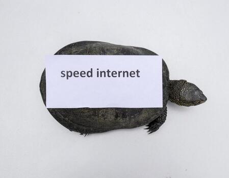 Internet speed. A bad tinternet symbol. Low download speed. Slow internet. Ordinary river tortoise of temperate latitudes. The tortoise is an ancient reptile. photo
