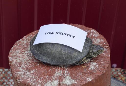 Low internet. A bad internet symbol. Low download speed. Slow internet. Ohrdinary river tortoise of temperate latitudes. The tortoise is an ancient reptile. photo