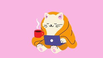 Cute Cat Working from Home Wrapped in Blanket. Loop Animation. Alpha channel transparency video