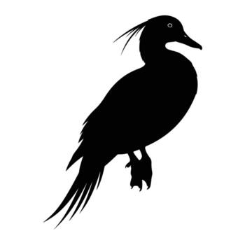 Black duck silhouette with crest and tail feathers vector