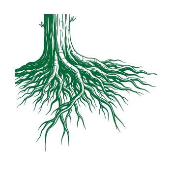 Artistic depiction of a strong tree trunk with extensive green root system on white background vector