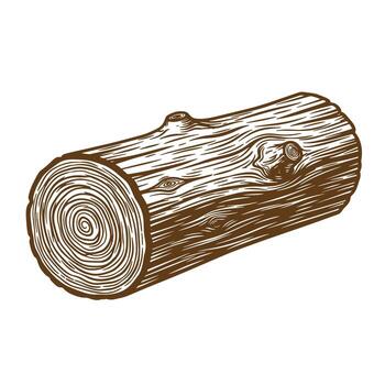 Detailed illustration of a brown log section with visible wood grain and texture vector
