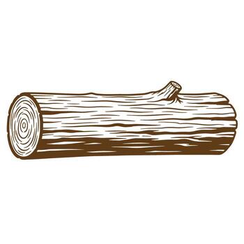 illustration of a brown log with visible wood grain and a small branch on white background vector