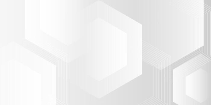 White and gray hexagon background with soft 3D layered texture vector
