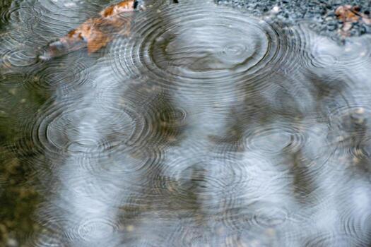 Raindrops falling in a puddle creating concentric ripples, Abstract Background photo