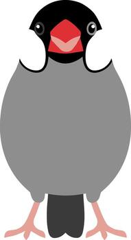 Simple Flat Style Java Sparrow Illustration Bird Icon Graphic vector