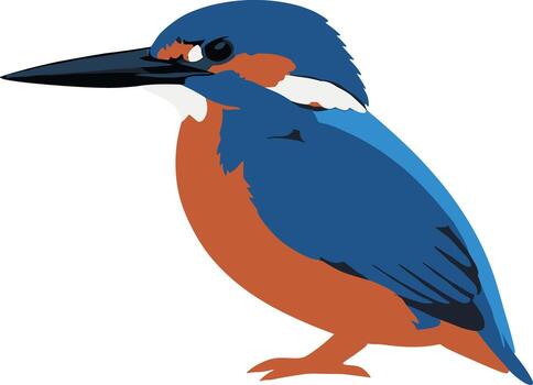 Flat Design Kingfisher Illustration Side View Profile Colorful Bird Image vector