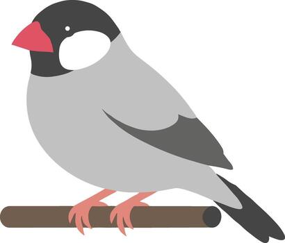 Minimalist Graphic Java Sparrow Bird Perched on a Branch Illustration vector