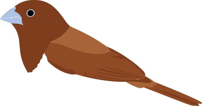 Simple Flat Design Javanese Java Sparrow Bird Illustration Icon vector