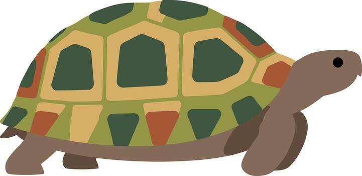 Simple Flat Design Walking Turtle with Geometric Shell Pattern Animal Illustration vector