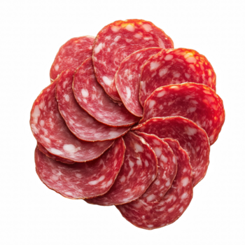 fracamente fatiado peças do salame arranjado dentro sobreposição padronizar isolado em Preto fundo. png