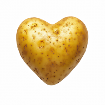 Heart-shaped potato with natural golden-brown skin isolated on transparent background png