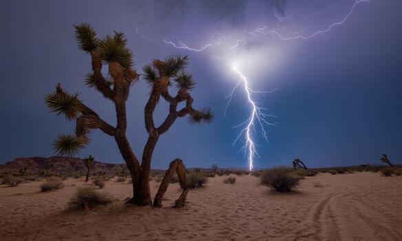 Powerful lightning storm illuminates a desert landscape with a joshua tree at night photo