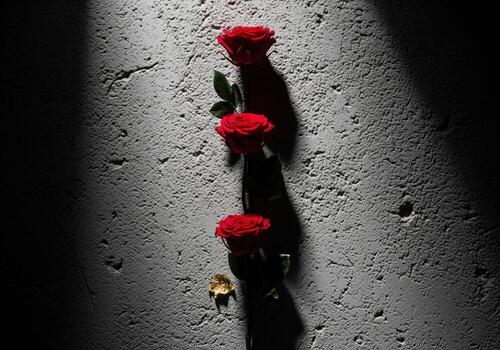 Striking red roses in a vertical line on textured concrete with dramatic light and deep shadows photo