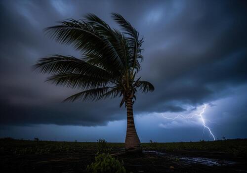 Powerful lightning strike illuminating a palm tree against a dark, turbulent storm sky photo