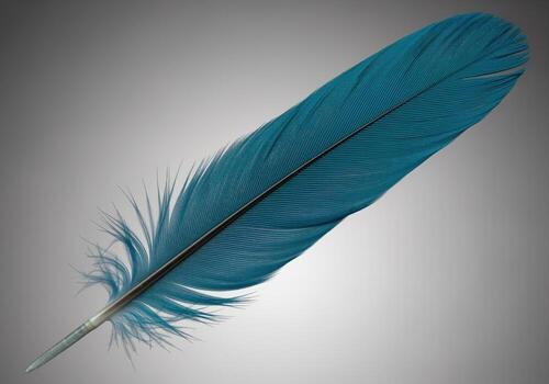 Detailed view of a single vibrant teal blue feather with intricate barbs photo