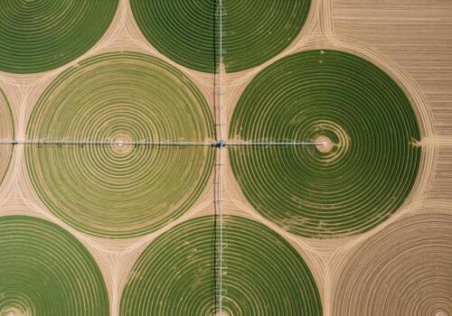 High altitude aerial view of green circular farm fields with pivot irrigation patterns photo