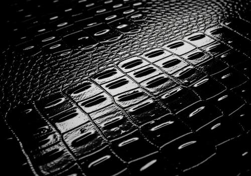 intenso bajo llave macro de muy reflexivo mojado patentar negro falso cuero con cocodrilo escamas textura foto