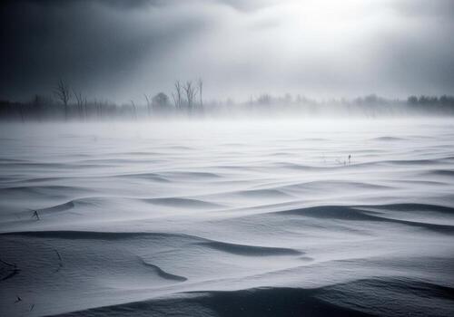 Dramatic blizzard scene with wind swept snow dunes and bare trees under a dark, misty sky photo