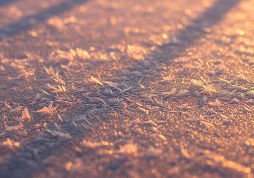 Delicate ice frost crystals texture illuminated by warm golden hour light and bokeh photo