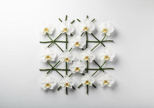 Elegant white phalaenopsis orchids arranged in a minimalist geometric pattern photo