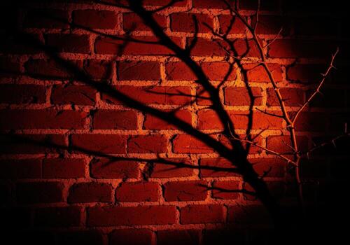 Intense shadow of a thorny branch cast upon a textured red brick wall photo