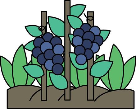 el imagen es un dibujo de un viñedo con dos vides y un manojo de uvas vector