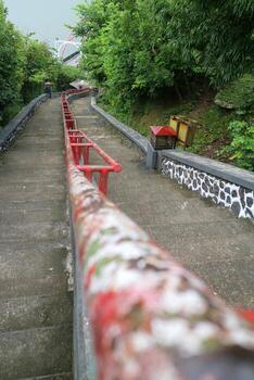 Concrete Staircase with Red Railings in Lush Greenery photo