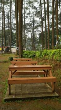 Wooden Picnic Tables in Forest Setting photo