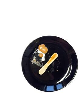 Melted ice cream stick, chocolate ice cream on a plate, copy space, top view, flat photo