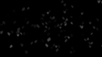 abstrakt organisk former flytande i mörk Plats eterisk partiklar mild rörelse subtil ljus övergångar mjuk fokus video