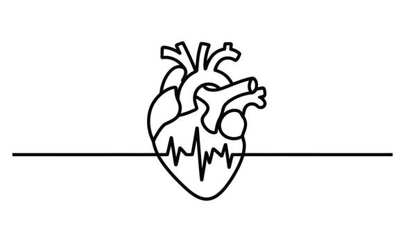 Continuous line drawing of a human heart with heartbeat line illustration scalable eps vector