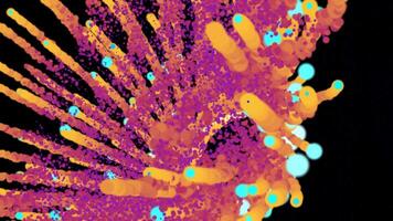 levande ström av orange, rosa, och cyan partiklar exploderande video