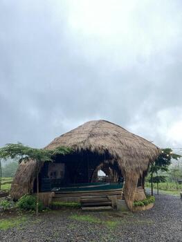 Rustic Thatched Roof Structure Under Gray Cloudy Sky photo