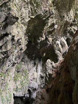 Rough Rock Formation in Natural Cave with Sparse Greenery photo